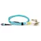 BlueVoice 10m (33ft) MPO-16 APC (Nő) - 8x LC UPC Duplex OM3 Multimode Elite Breakout kábel, 16 szál, Type B, LSZH, Türkiz