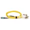 BlueVoice 10m (33ft) MPO-16 APC (Nő) - 8x LC UPC Duplex OS2 Singlemode Elite Breakout kábel, 16 szál, Type B, LSZH, Sárga