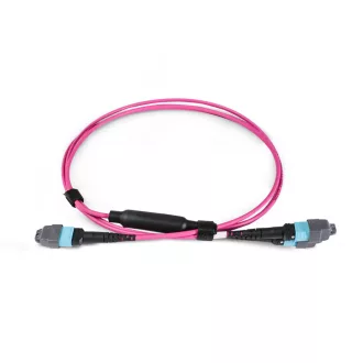   BlueVoice 10m (33ft) 24 MTP (Nő) - 2× 12 MTP OM4 50/125 Multimode Elite Conversion kábel, 24 szál, Type B, LSZH