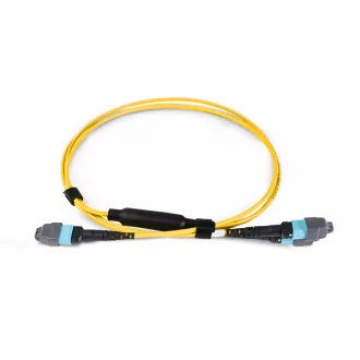   BlueVoice 10m (33ft) 24 MTP (Nő) - 2× 12 MTP OS2 9/125 Single Mode Elite Conversion kábel, 24 szál, Type B, LSZH
