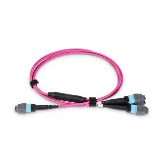   BlueVoice 10m (33ft) 24 MTP (Nő) - 3× 8 MTP OM4 50/125 Multimode Elite Conversion kábel, 24 szál, Type B, LSZH