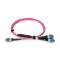 BlueVoice 10m (33ft) 24 MTP (Nő) - 3× 8 MTP OM4 50/125 Multimode Elite Conversion kábel, 24 szál, Type B, LSZH
