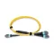 BlueVoice 10m (33ft) 24 MTP (Nő) - 3× 8 MTP OS2 9/125 Single Mode Elite Conversion kábel, 24 szál, Type B, LSZH